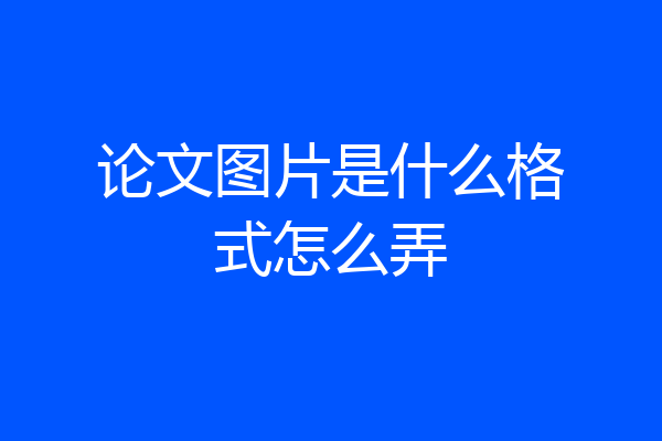 论文图片是什么格式怎么弄