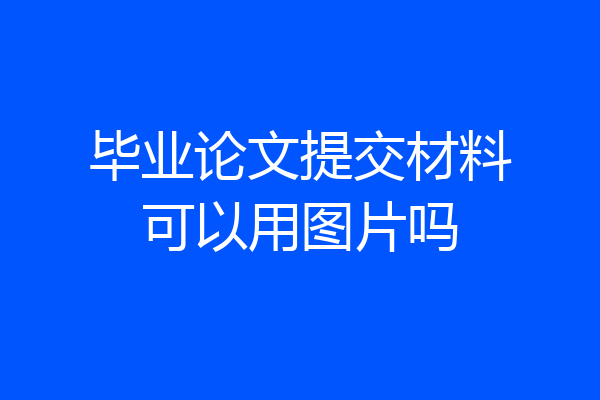 毕业论文提交材料可以用图片吗