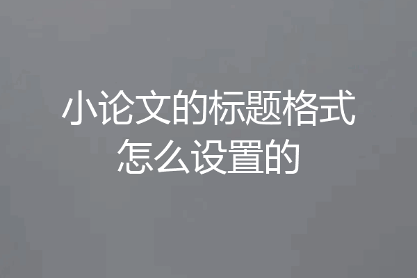 小论文的标题格式怎么设置的