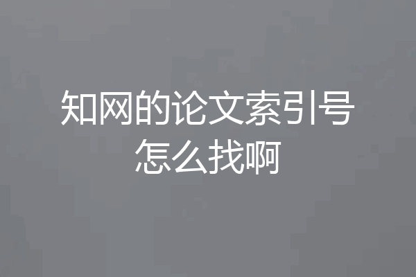 知网的论文索引号怎么找啊