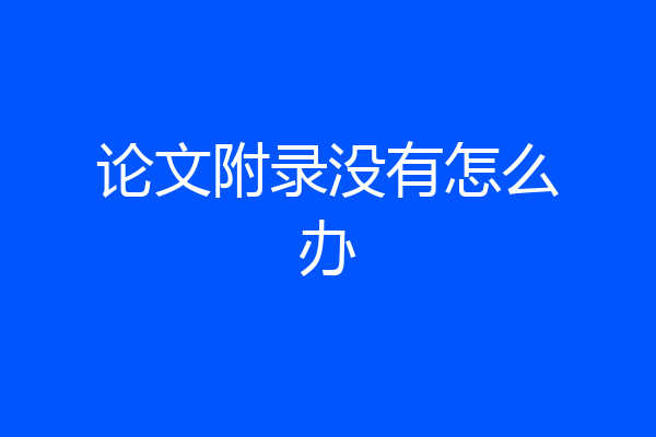 论文附录没有怎么办
