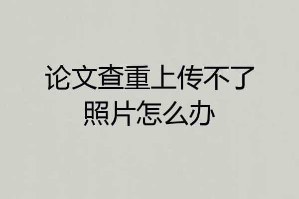 论文查重上传不了照片怎么办