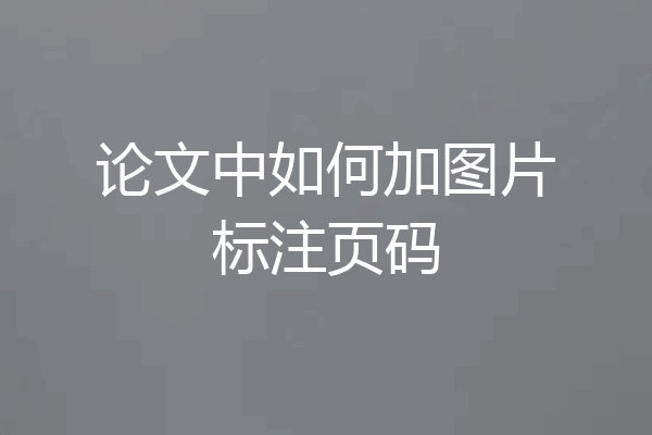 论文中如何加图片标注页码