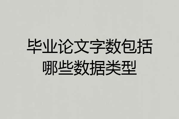 毕业论文字数包括哪些数据类型
