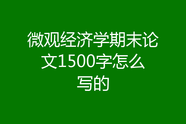 微观经济学期末论文1500字怎么写的