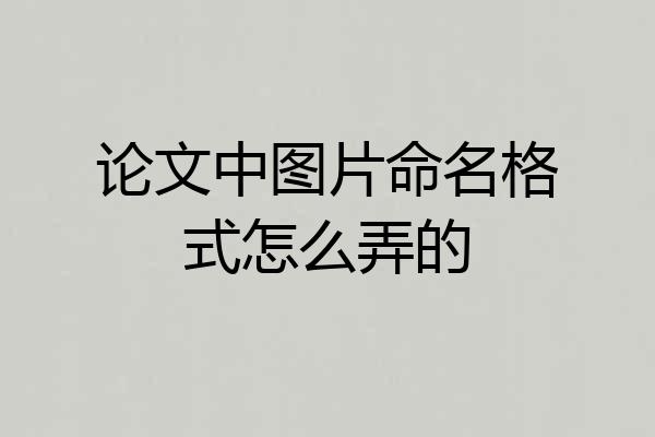 论文中图片命名格式怎么弄的