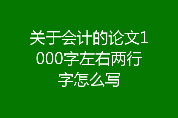 关于会计的论文1000字左右两行字怎么写