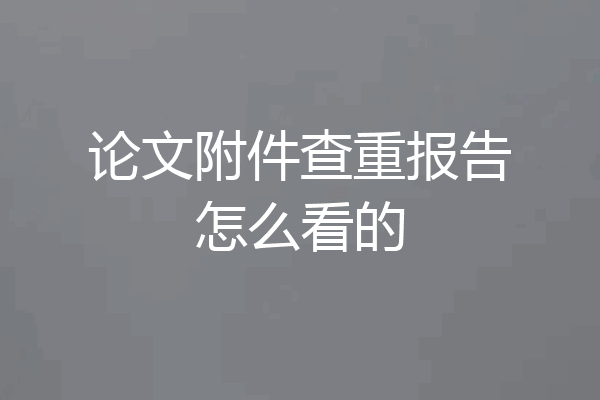 论文附件查重报告怎么看的