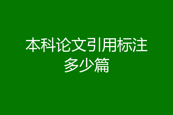 本科论文引用标注多少篇