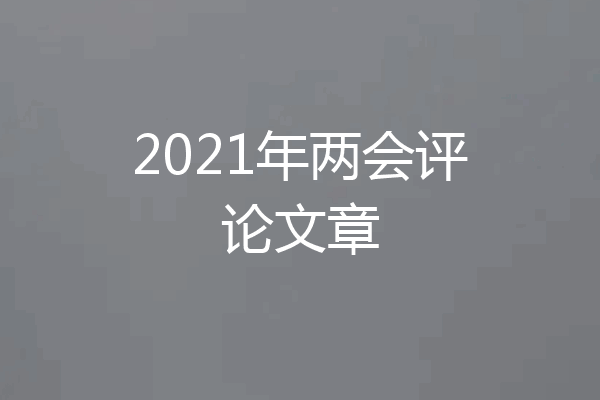 2021年两会评论文章