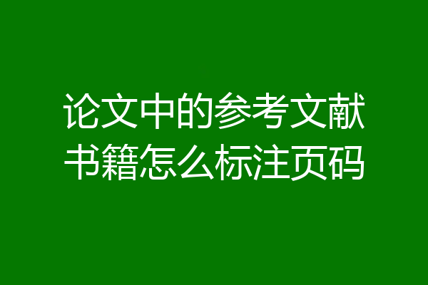 论文中的参考文献书籍怎么标注页码