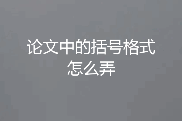 论文中的括号格式怎么弄