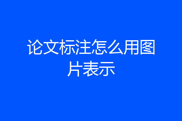 论文标注怎么用图片表示