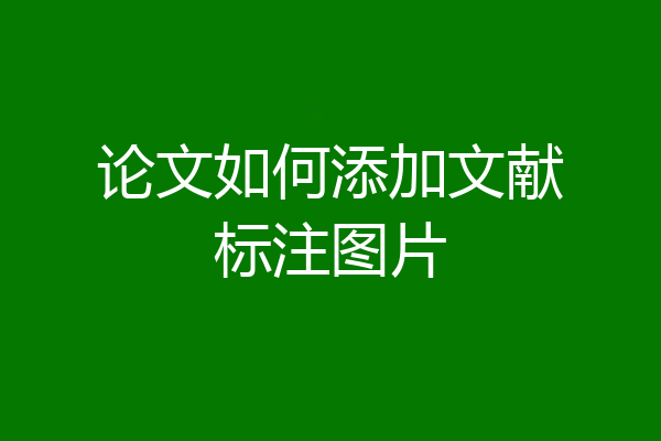 论文如何添加文献标注图片