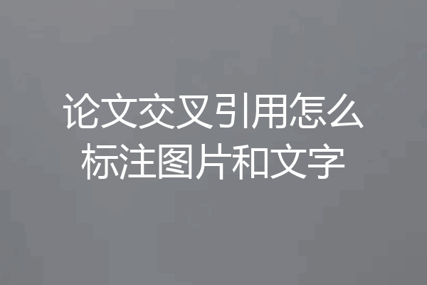 论文交叉引用怎么标注图片和文字