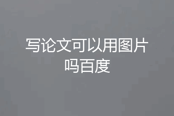 写论文可以用图片吗百度