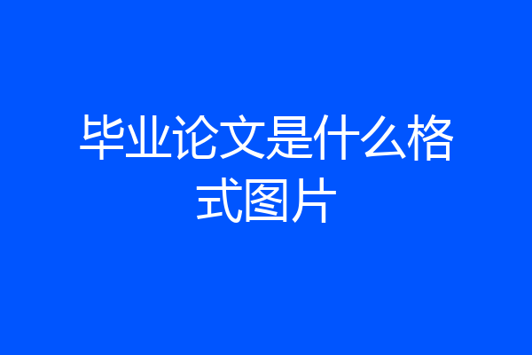 毕业论文是什么格式图片