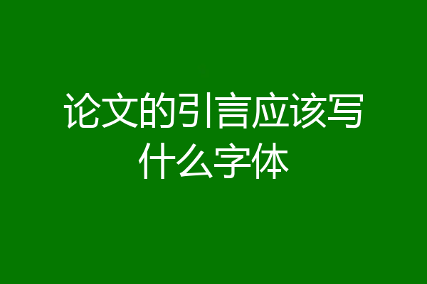 论文的引言应该写什么字体