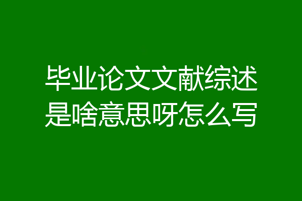 毕业论文文献综述是啥意思呀怎么写