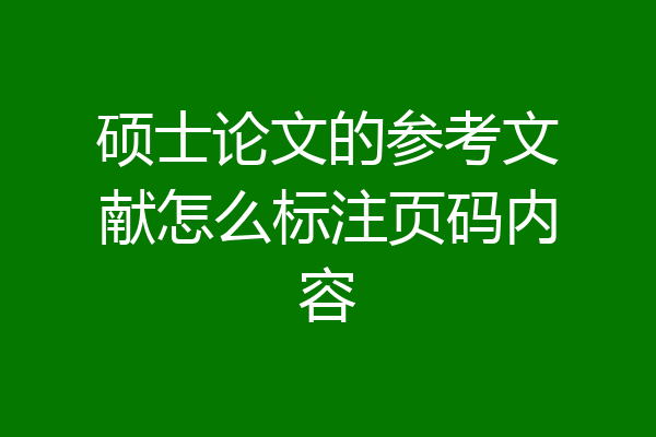 硕士论文的参考文献怎么标注页码内容