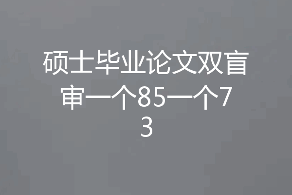 硕士毕业论文双盲审一个85一个73