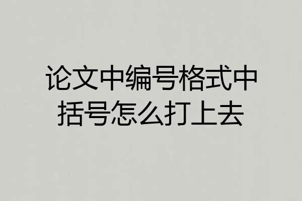 论文中编号格式中括号怎么打上去