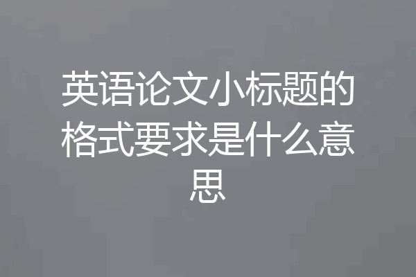 英语论文小标题的格式要求是什么意思