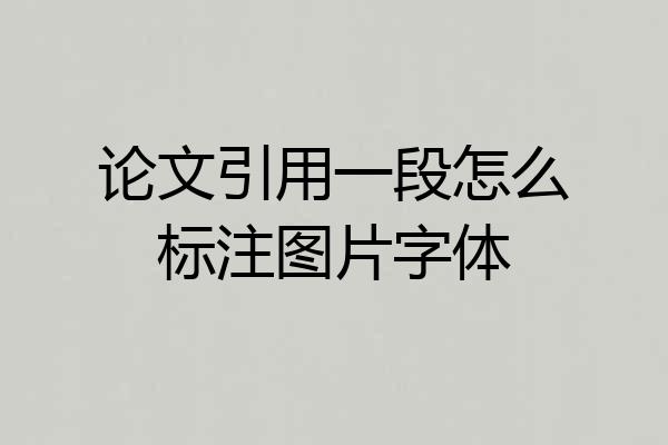 论文引用一段怎么标注图片字体