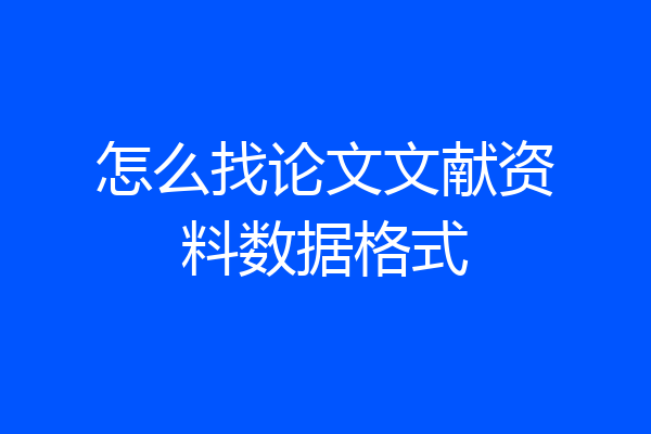 怎么找论文文献资料数据格式