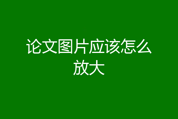 论文图片应该怎么放大