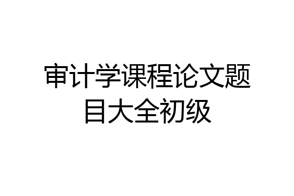 审计学课程论文题目大全初级