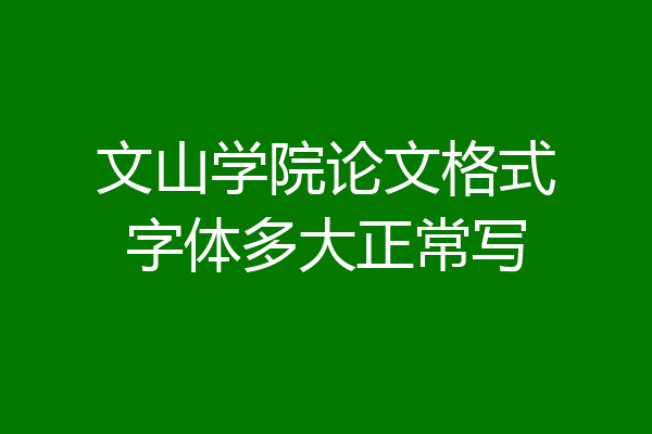 文山学院论文格式字体多大正常写