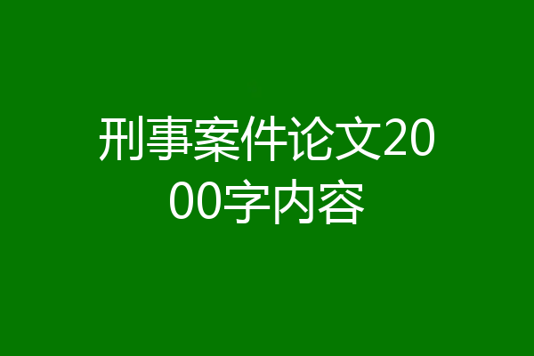 刑事案件论文2000字内容