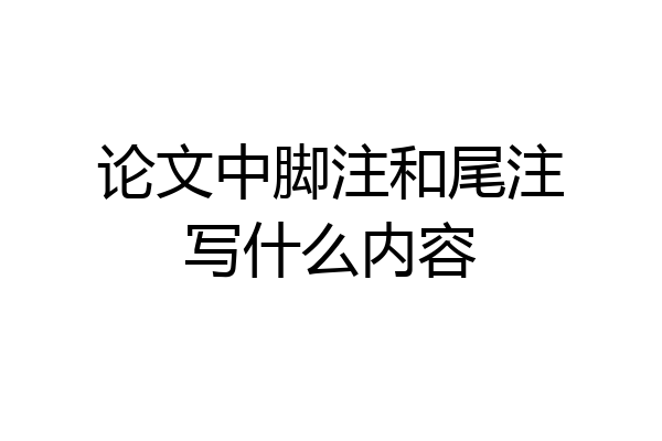 论文中脚注和尾注写什么内容