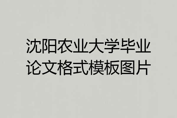 沈阳农业大学毕业论文格式模板图片