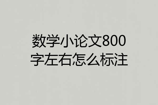 数学小论文800字左右怎么标注
