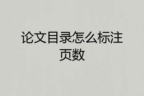 论文目录怎么标注页数