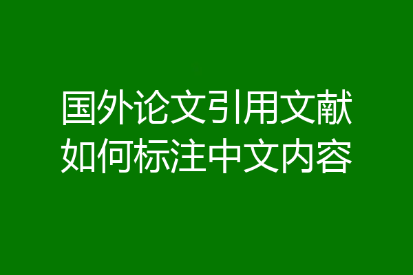 国外论文引用文献如何标注中文内容