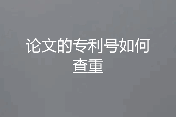 论文的专利号如何查重