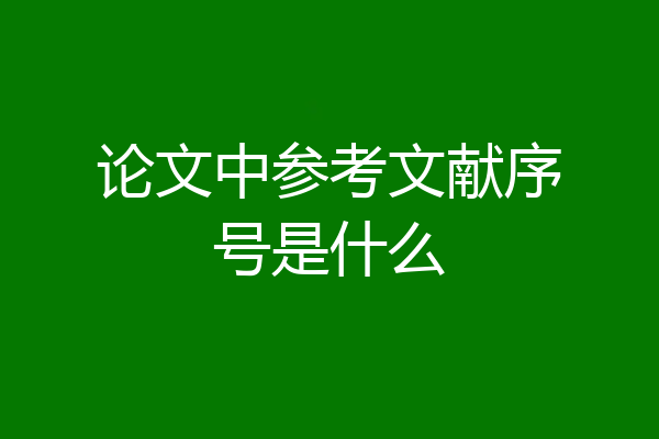 论文中参考文献序号是什么