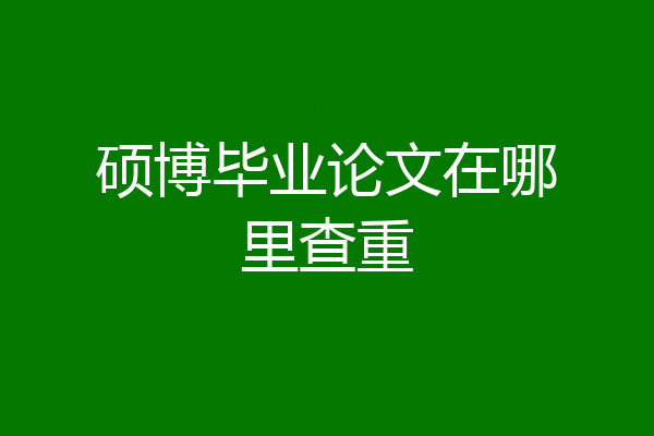 硕博毕业论文在哪里查重