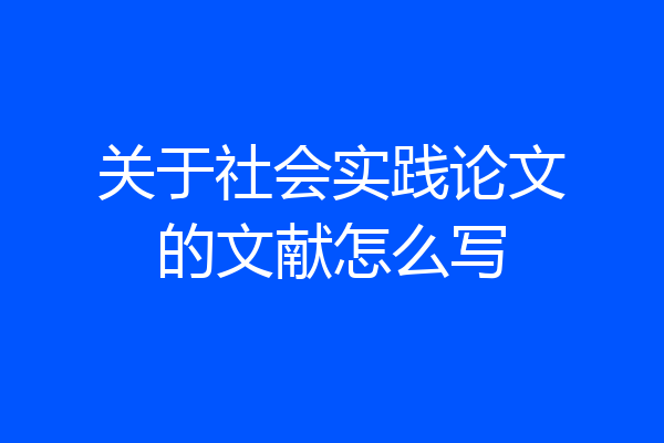 关于社会实践论文的文献怎么写