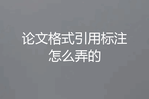 论文格式引用标注怎么弄的