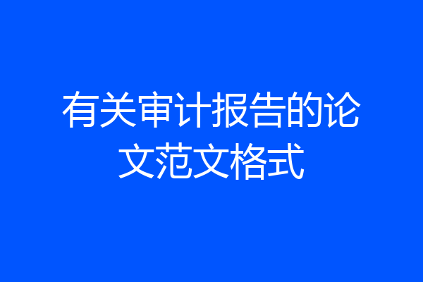 有关审计报告的论文范文格式