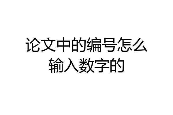 论文中的编号怎么输入数字的