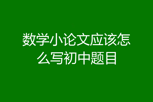 数学小论文应该怎么写初中题目