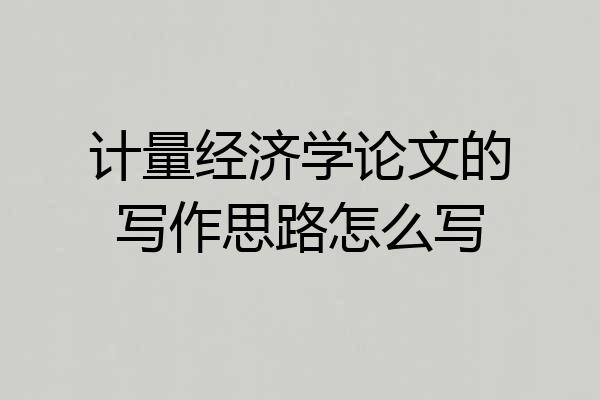 计量经济学论文的写作思路怎么写