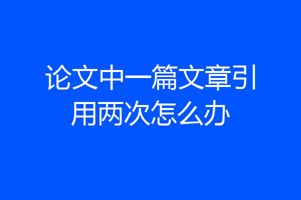 论文中一篇文章引用两次怎么办