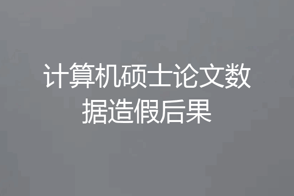 计算机硕士论文数据造假后果