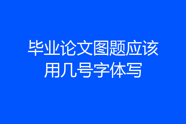 毕业论文图题应该用几号字体写